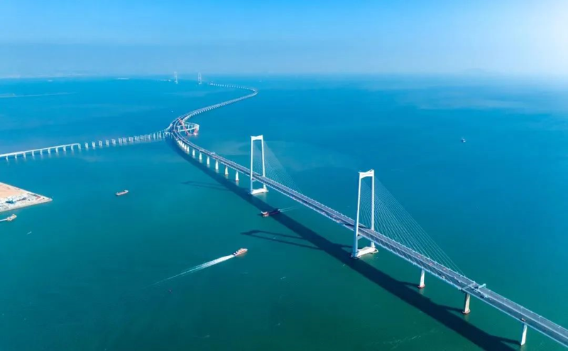 洋浦强源实业:拥抱变革,开拓市场新机遇